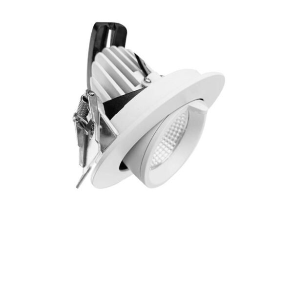 10w adjustable light (se dl05 10w tc)