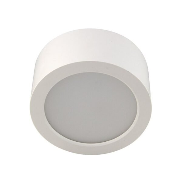 led surface mount light (se dl52 15w)