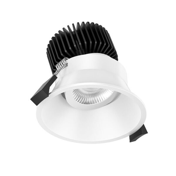 10w frameless downlight (dl201b)