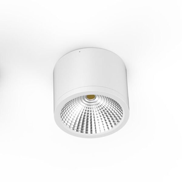 led surface mount light (se dl38 10w)