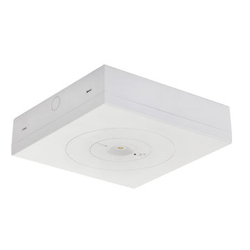 led emergency light (3002)